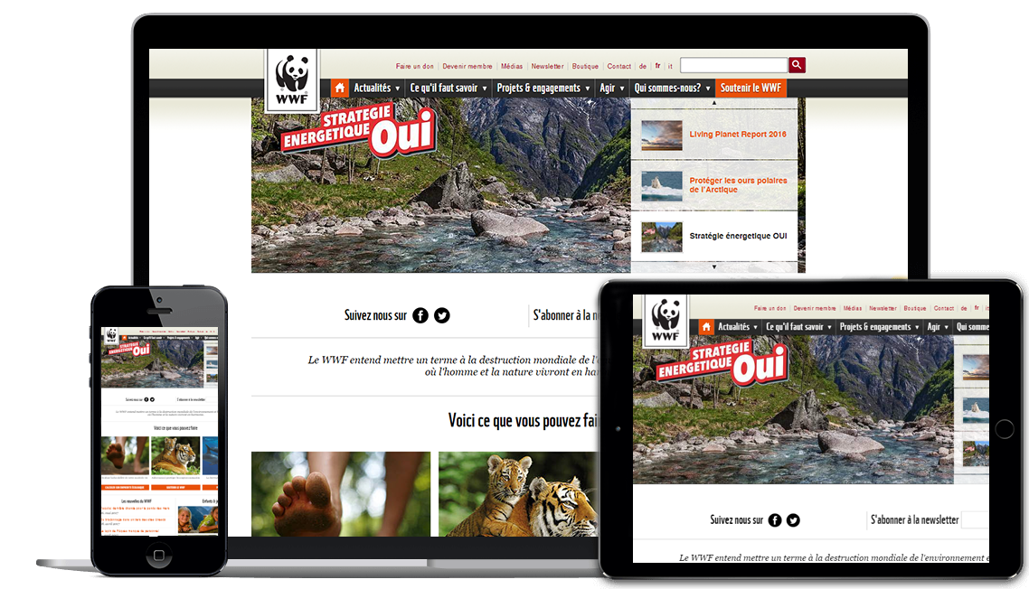 Web Design Creation de site